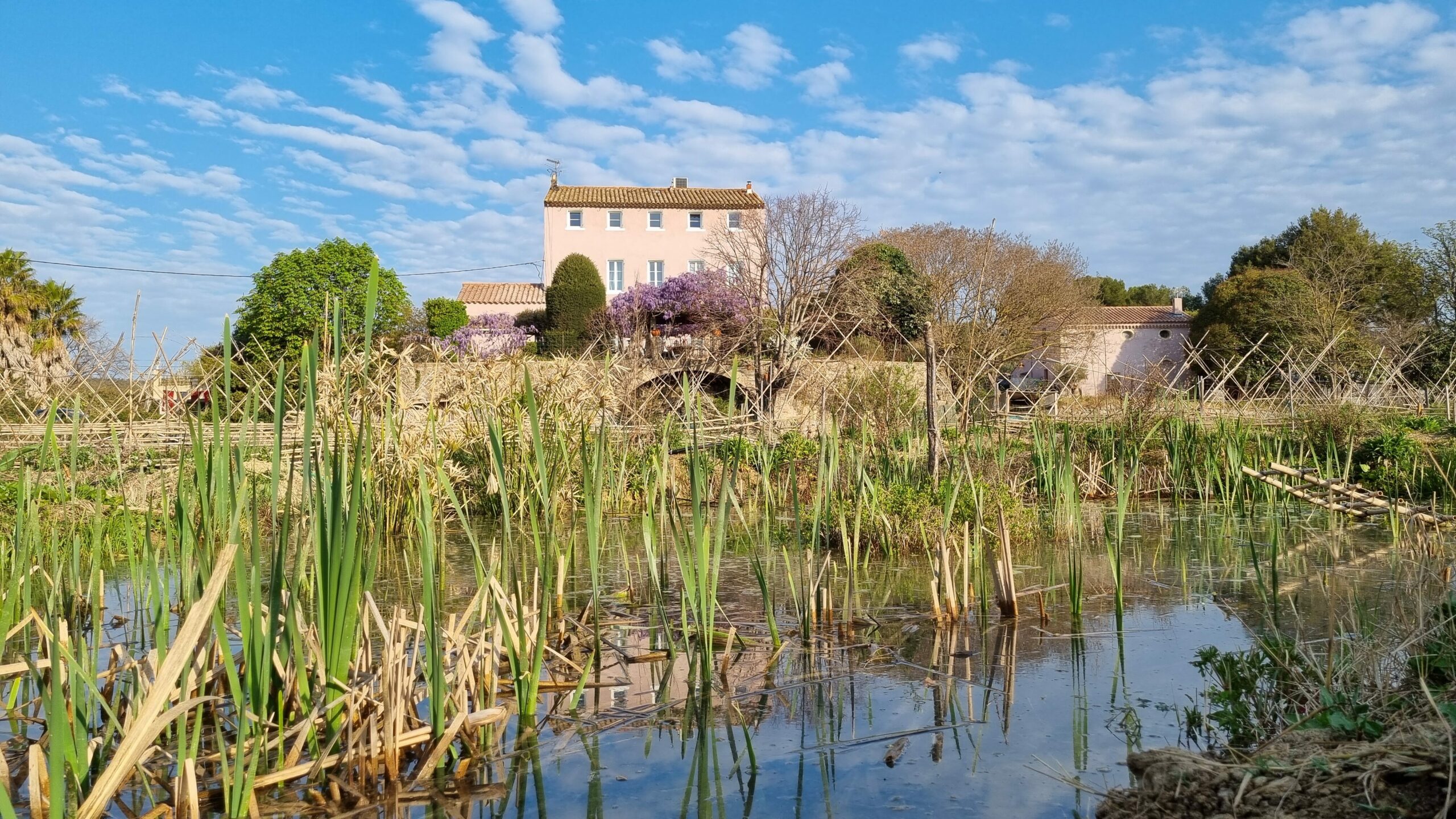 Vue domaine familiale en provence dans la biodiversité